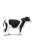 Fekete-fehér Holstein tehén Safari