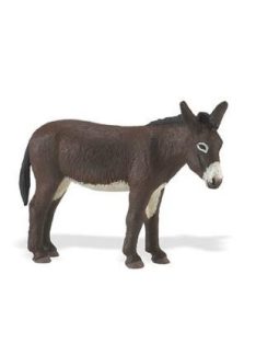 Szamár- Donkey Safari