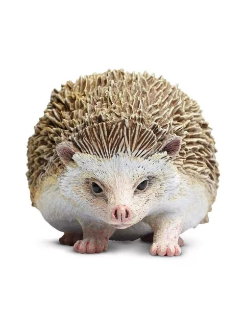 Sündisznó Safari