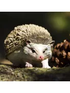 Sündisznó Safari