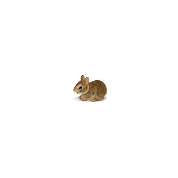 Eastern Cottontail Rabbit Baby- bébi nyuszi Safari
