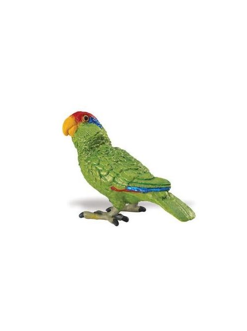 Zöldarcú amazon papagáj- Green-cheeked Amazon Parrot Safari