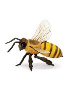Mézelő méh Safari
