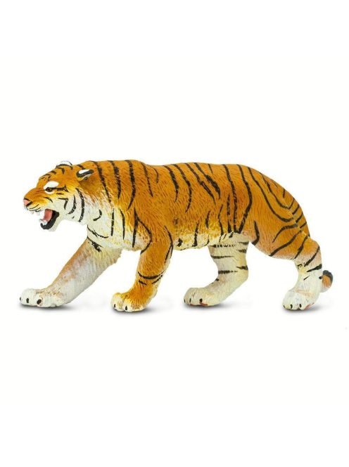 Bengáli tigris Safari