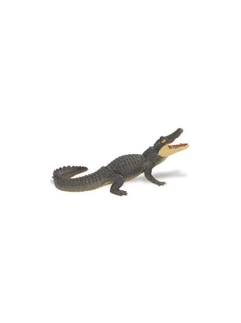Alligator-Aligátor Safari