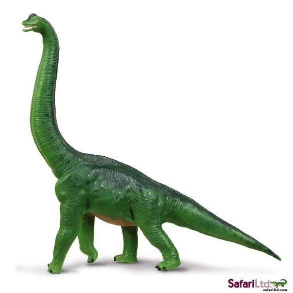 Brachiosaurus Safari