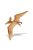 Pteranodon Safari