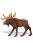 Jávorszarvas- Moose Safari