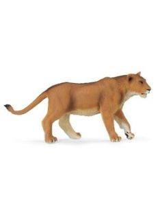 Lioness -Nőstény Oroszlán Safari