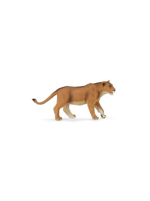 Lioness -Nőstény Oroszlán Safari