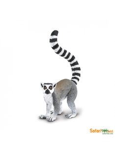 Ring-tailed Lemur - gyűrűsfarkú maki