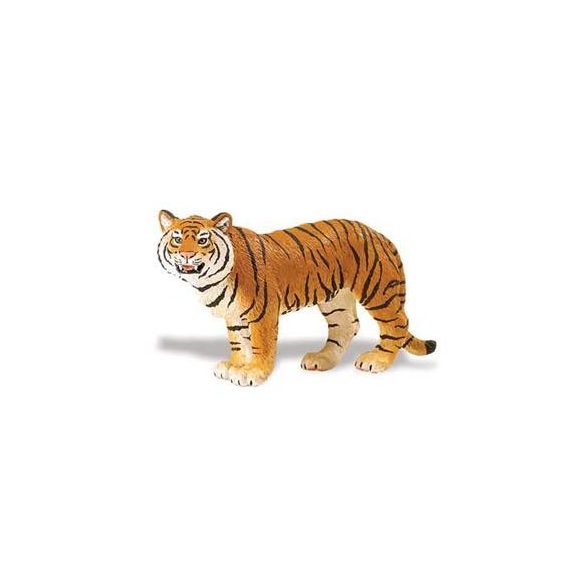 Bengáli tigris Safari