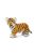 Bengáli tigris kölyök Safari