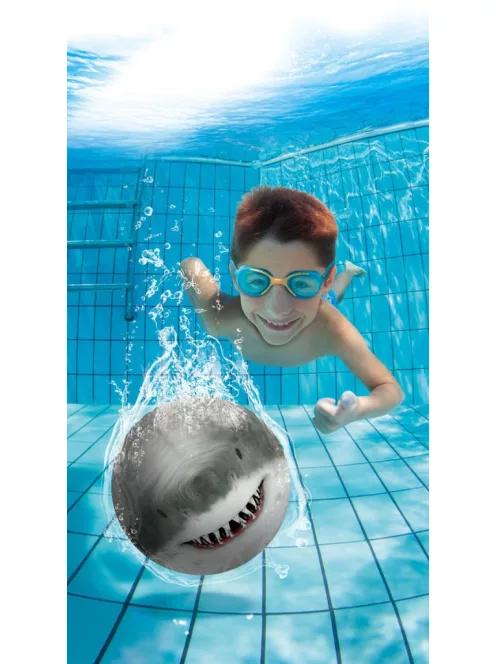 2 az 1-ben strand és merülő labda, cápa Sunflex