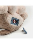 Interaktív állatklinika kutya gondozó játékkészlet fényekkel és hangokkal TOPBRIGHT