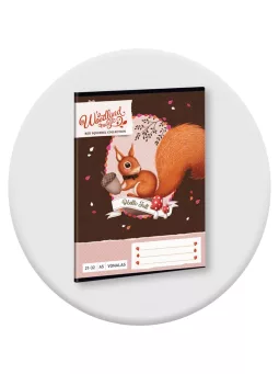 4-8. Osztályos füzetek