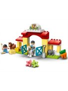 LEGO® DUPLO® 10951 Lóistálló és pónigondozás