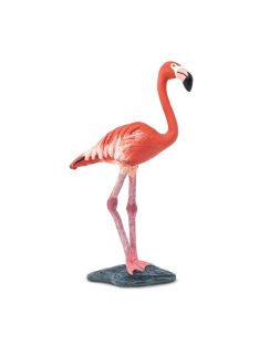 Flamingo Safari