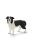 Border collie - Schleich